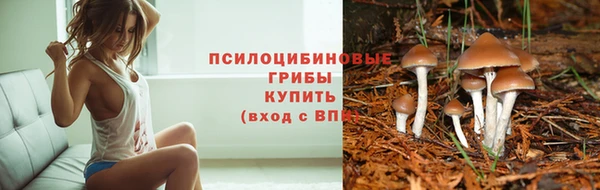 тгк Сосновка