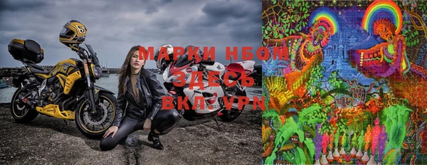 PSILOCYBIN Струнино